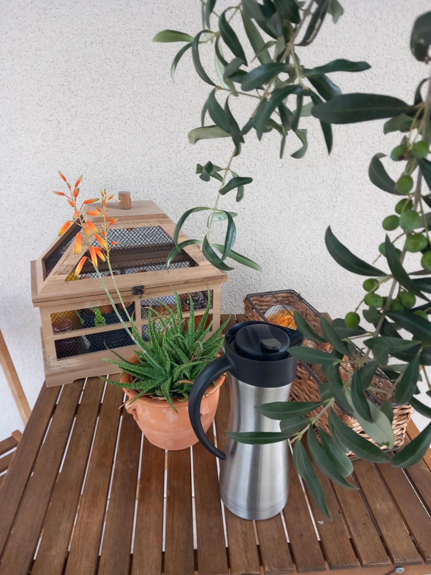 Millesime Appartement