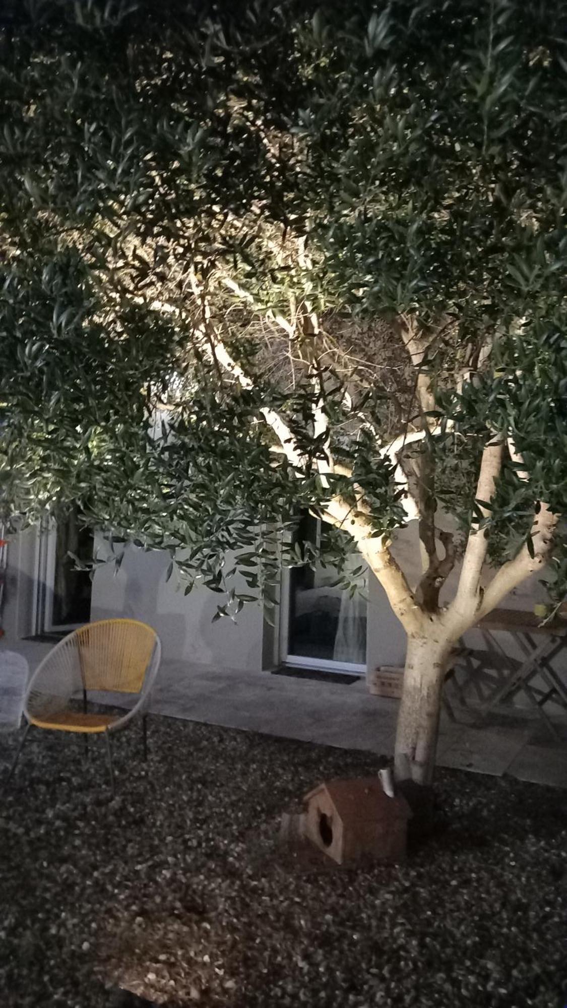 Millesime Apartment *
